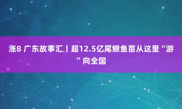 涨8 广东故事汇丨超12.5亿尾鳜鱼苗从这里“游”向全国